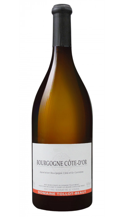 Bourgogne côte d'or blanc 2021