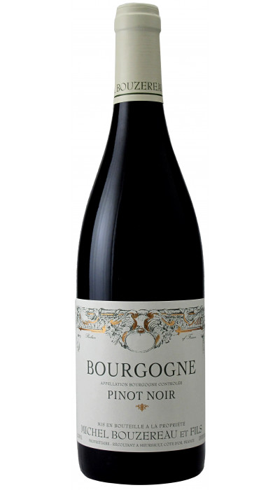 Bourgogne Côte d'Or Pinot Noir 2022