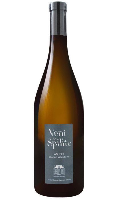 Anjou Vent de Spilite 2021