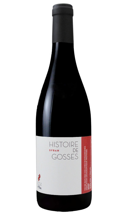 Syrah Histoire de Gosses 2023