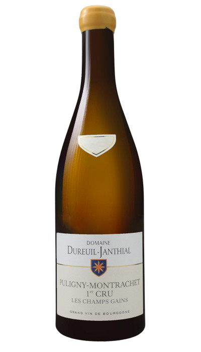 Puligny-Montrachet 1er Cru Les Champs Gains 2022