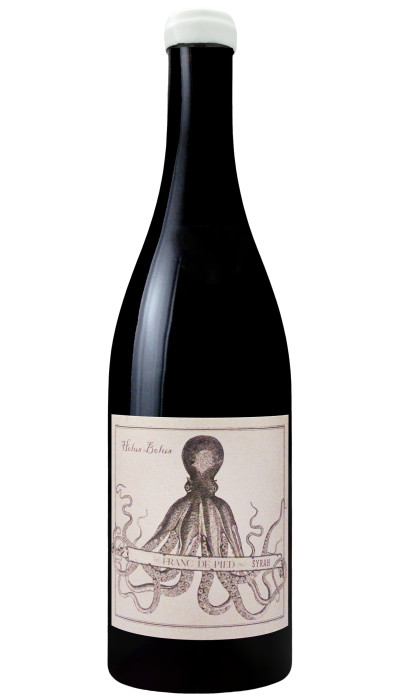 Syrah Franc de Pied 2022