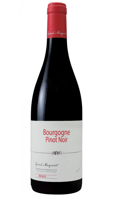 Bourgogne Pinot Noir 2022
