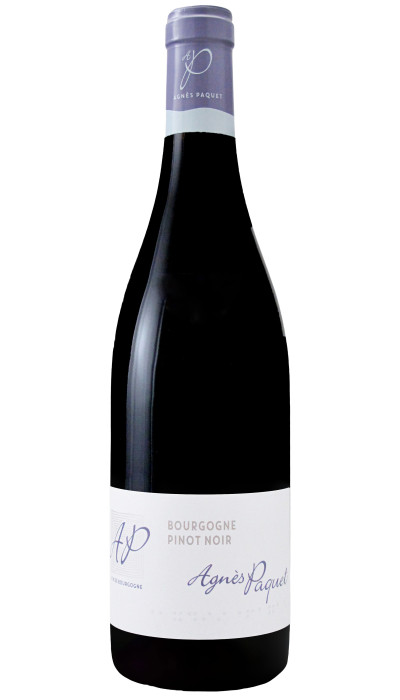 Bourgogne Pinot Noir 2023