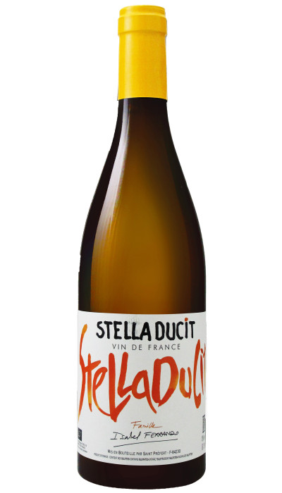 Stella Ducit 2024