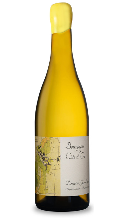 Bourgogne Côte d'Or blanc 2023 Magnum