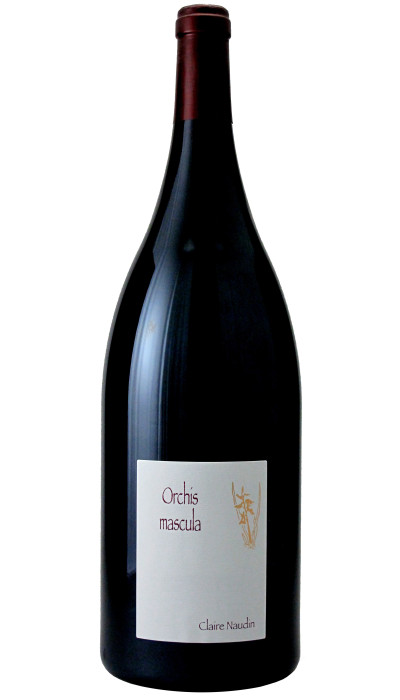 Orchis Mascula 2023 Magnum