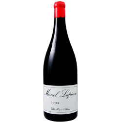 Morgon Cuvée Marcel Lapierre MMXXIV 2024 Magnum