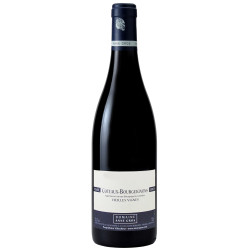 Coteaux Bourguignons Vieilles Vignes 2023