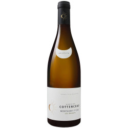Montagny 1er Cru Les Bassets 2023