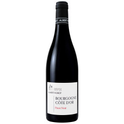 Bourgogne Côte d'Or Pinot Noir 2023