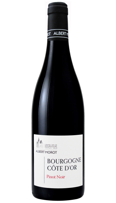 Bourgogne Côte d'Or Pinot Noir 2023