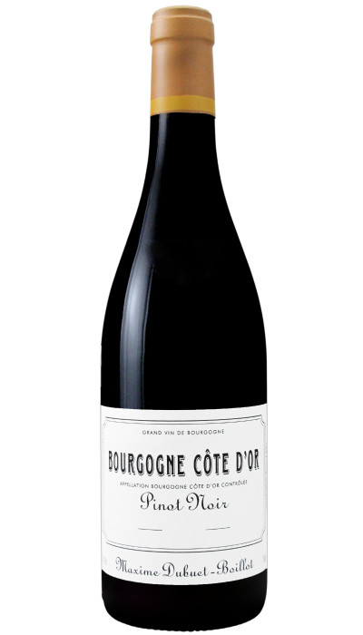 Bourgogne Côte d'Or rouge 2023