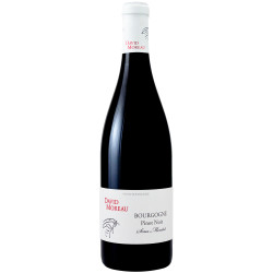 Bourgogne Sous Montot 2023
