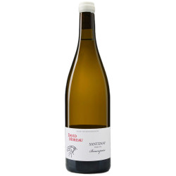 Santenay 1er Cru Beaurepaire blanc 2023