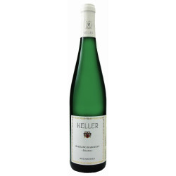 Riesling Kabinett Limestone 2023