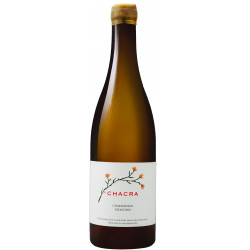 Chardonnay Chacra 2024