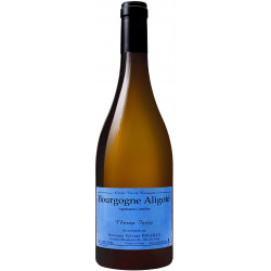 Bourgogne Aligoté Champ Forey 2022