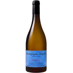 Bourgogne Aligoté Longeroies 2023