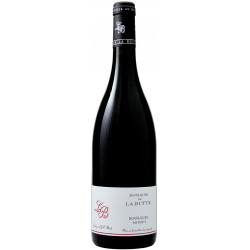 Bourgueil Mi-Pente 2022