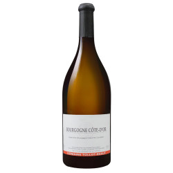 Bourgogne côte d'or blanc 2023