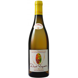 Crozes-Hermitage blanc Aux Bêtises 2024