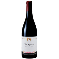 Bourgogne Pinot Noir 2023