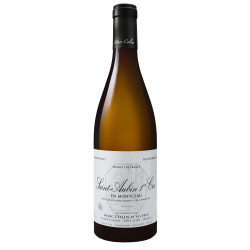 Saint-Aubin 1er Cru En Montceau 2023