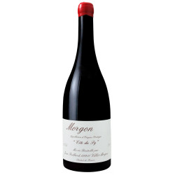 Morgon Côte du Py 2023