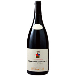 Chambolle-Musigny 2023 Magnum