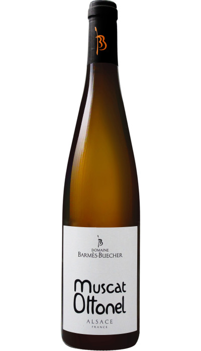 Muscat Ottonel 2025