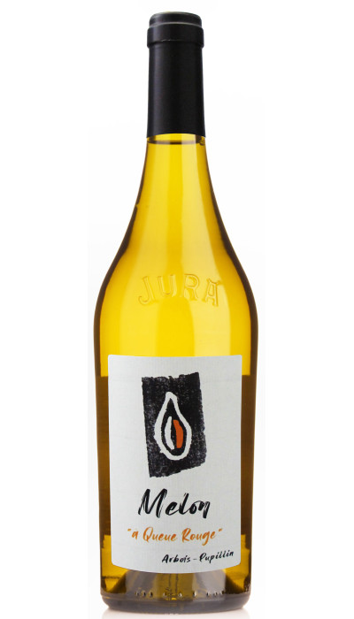 Melon à Queue Rouge 2021