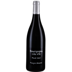 Bourgogne Côte d'Or rouge 2024