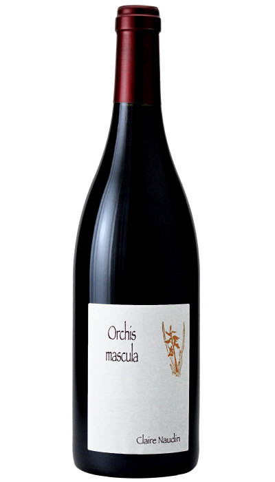 Orchis Mascula 2024