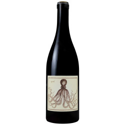 Holus Bolus Syrah 2023