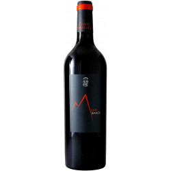 Monte Bianco 2024