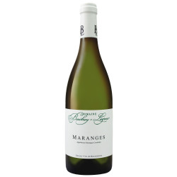 Maranges blanc 2024