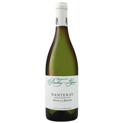 Santenay Sous la Roche 2024