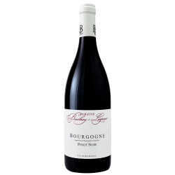 Bourgogne Pinot Noir 2024