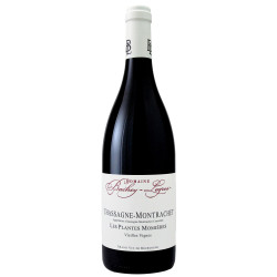 Chassagne-Montrachet Les Plantes Momières 2024