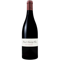 Pinot Noir Côte Vineyard 2023