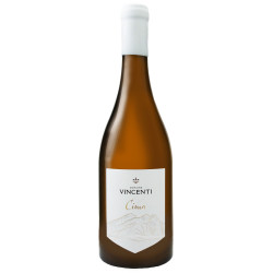 Cima blanc 2024