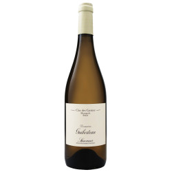 Saumur Clos des Carmes 2022