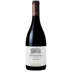 Bourgogne Roncevie 2023