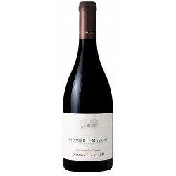 Chambolle-Musigny 2024