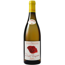 Crozes-Hermitage Lou 2024