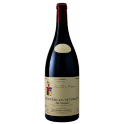 Chambolle-Musigny 2018 Magnum