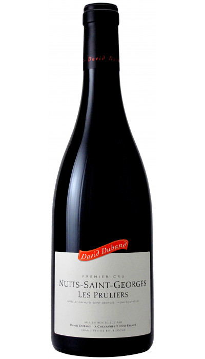 Nuits-Saint-Georges 1er Cru Les Pruliers 2019