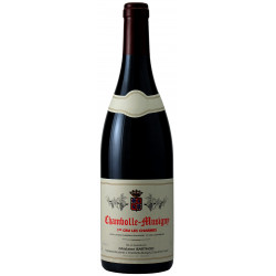 Chambolle-Musigny 1er Cru Les Charmes 2019