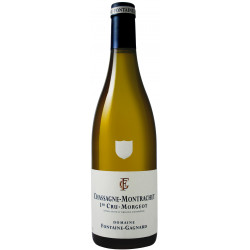 Chassagne-Montrachet 1er Cru Morgeot blanc 2019